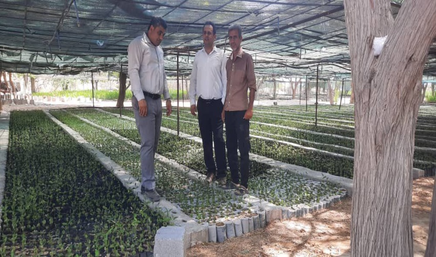 بازدید دکتر کلبی رئیس اداره جنگل و مهندس حاجیلو دبیر ستاد مردمی کاشت یک میلیارد نهال در استان از نهالستان بردخون