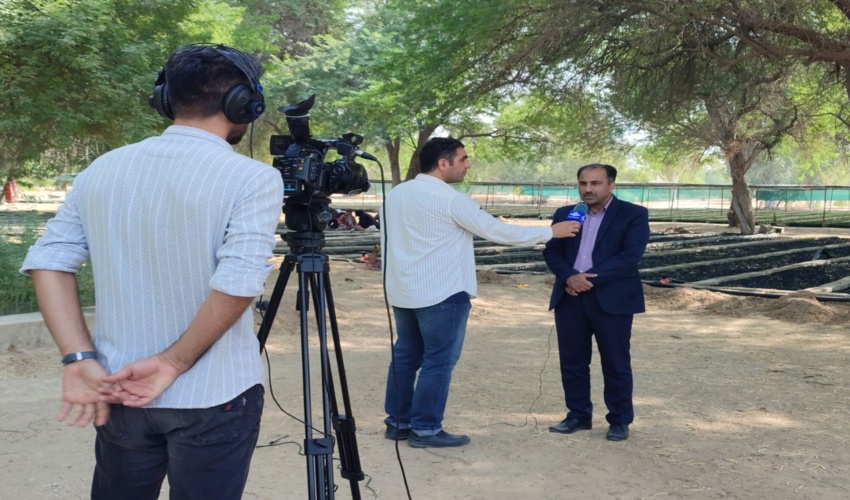  تولید مستند طرح مردمی کاشت یک میلیارد درخت در استان بوشهر -- نهالستان چاه کوتاه