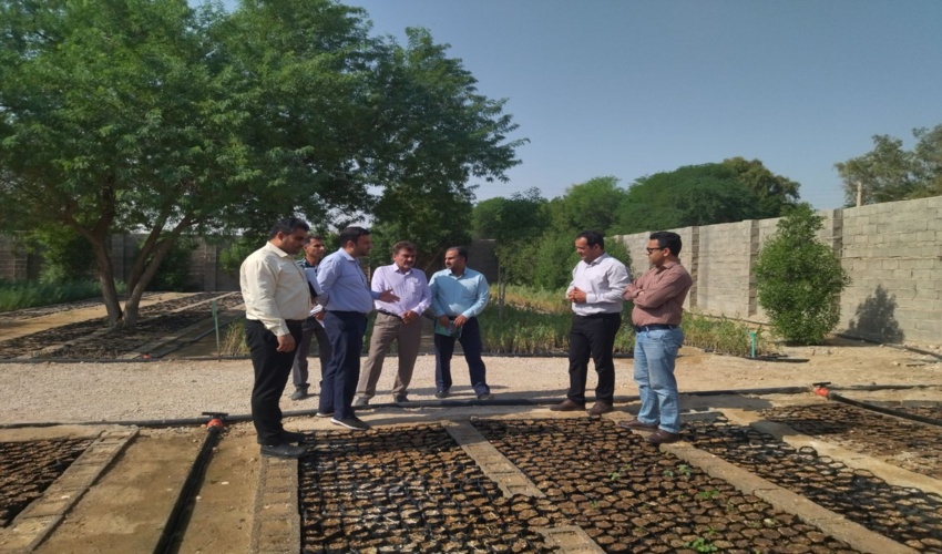 بازدید دکتر اخوان عضو دبیرخانه مرکزی طرح مردمی کاشت یک میلیارد درخت در کشور از نهالستان شهرستان  دشتی و دیر 