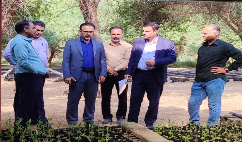 بازدید دکتر اخوان عضو دبیرخانه مرکزی طرح مردمی کاشت یک میلیارد درخت از نهالستان شهرستان گناوه و بوشهر  