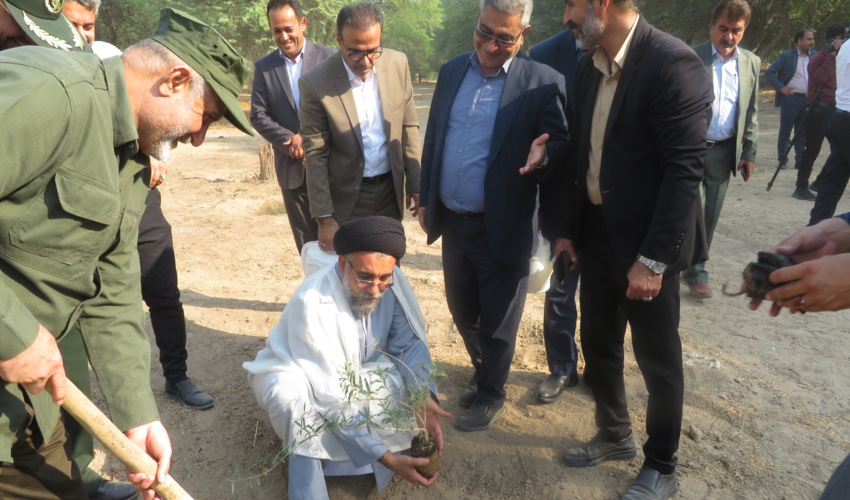 آغاز عملیات درختکاری در راستای طرح مردمی کاشت یک میلیارد درخت استان بوشهر 