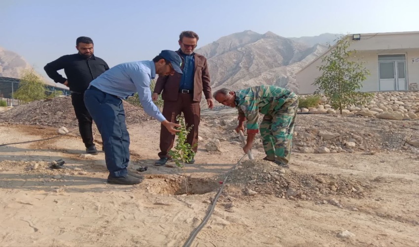  آغاز عملیات اجرایی کاشت نهال در شهرستان دیر استان بوشهر انجام شد 