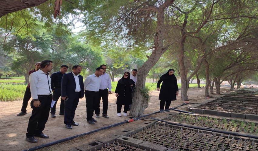  بازدید کارشناس مدیریت برنامه ریزی استانداری بوشهر از طرح های در حال اجرا منابع طبیعی و‌آبخیزداری در شهرستان بوشهر