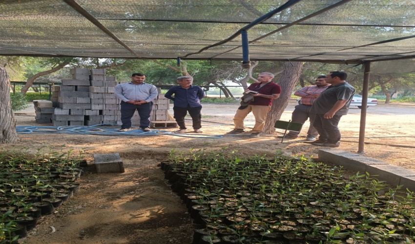 بازدیدمشاور رئیس سازمان اداره کل منابع طبیعی و آبخیزداری  از نهالستان بردخون شهرستان دیر 