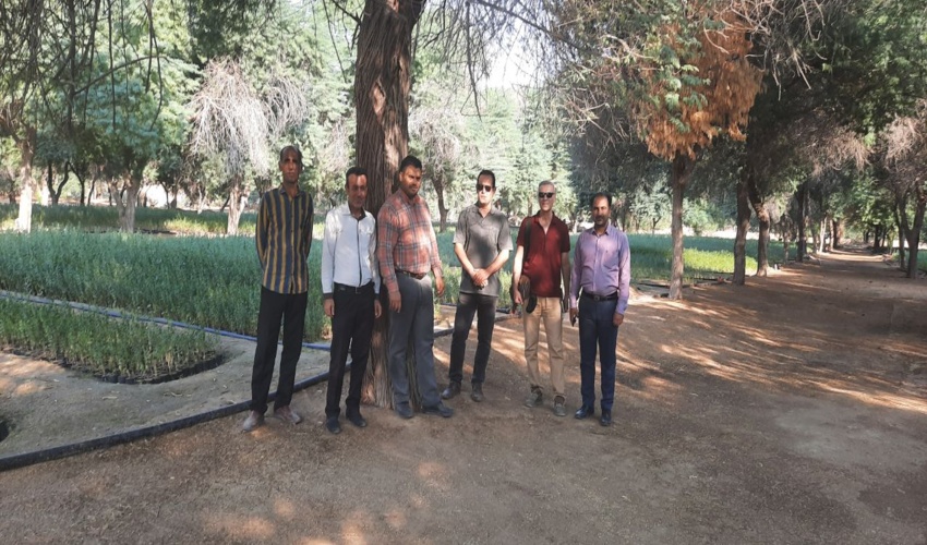 بازدید  مشاور رئیس سازمان منابع طبیعی و آبخیز داری  از نهالستان چاه‌کوتاه شهرستان بوشهر