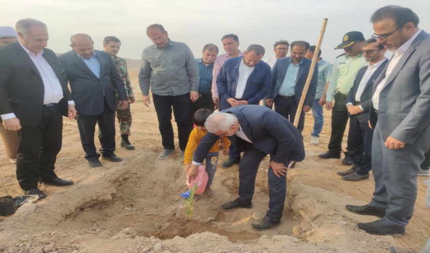 رئیس سازمان منابع طبیعی چند درخت در شهرستان دیلم غرس کرد