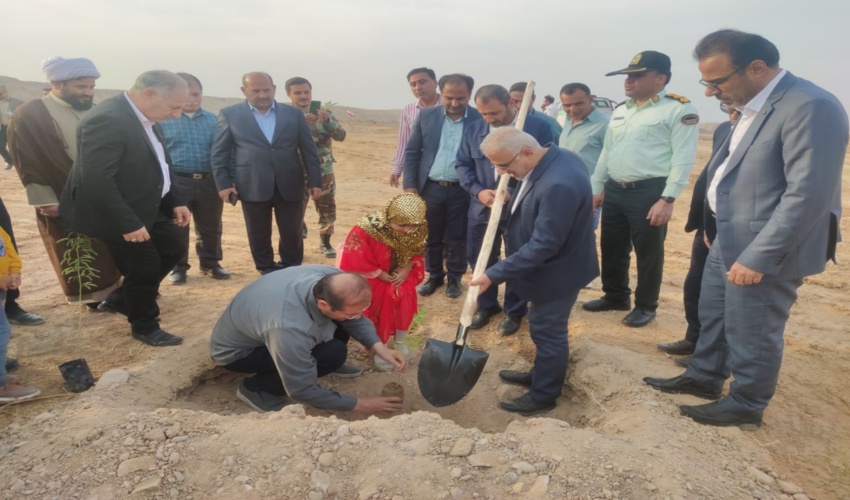 محدوده سد دره امیری بندر "دیلم " قابلیت درختکاری دارد