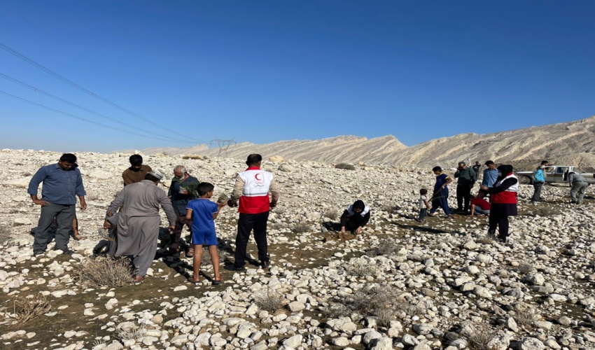 کاشت نهال کنار و کهور پاکستانی در بالا دست بندهای خاکی سنوات قبل در مرتع اسلام آباد بنک