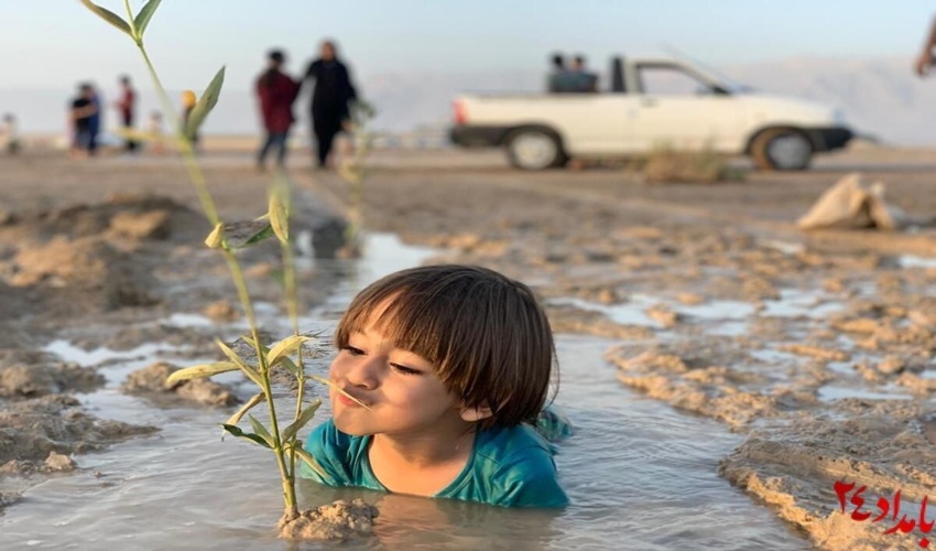 آغاز پویش طرح مروارید (کاشت نهال حرا ) یادبود شهدای گرانقدر ناوچه پیکان در سواحل خلیج فارس