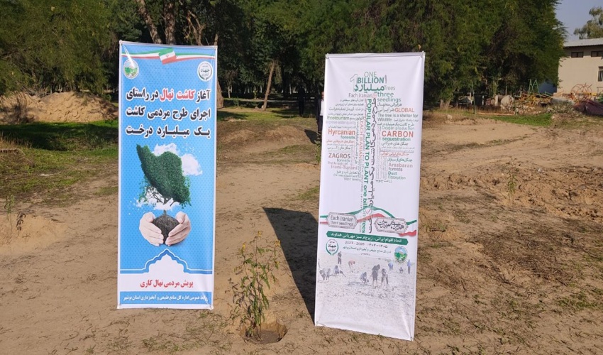  به روایت تصویر گزارشی از آغاز رسمی کاشت درخت در طرح مردمی کاشت یک میلیارد درخت در استان بوشهر