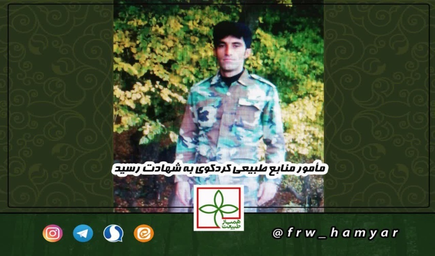 بار دیگر دست طمع، جان جنگلبان بی گناهی را گرفت.