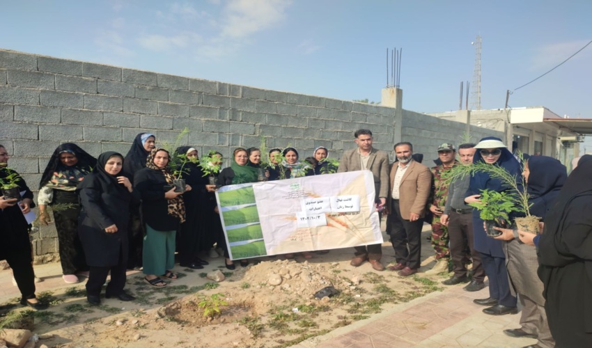 پویش نهالکاری بامشارکت مدیریت جهاد کشاورزی و منابع طبیعی‌و آبخیزداری شهرستان بوشهر و مشارکت زنان روستایی و عشایری در روستای تل اشکی