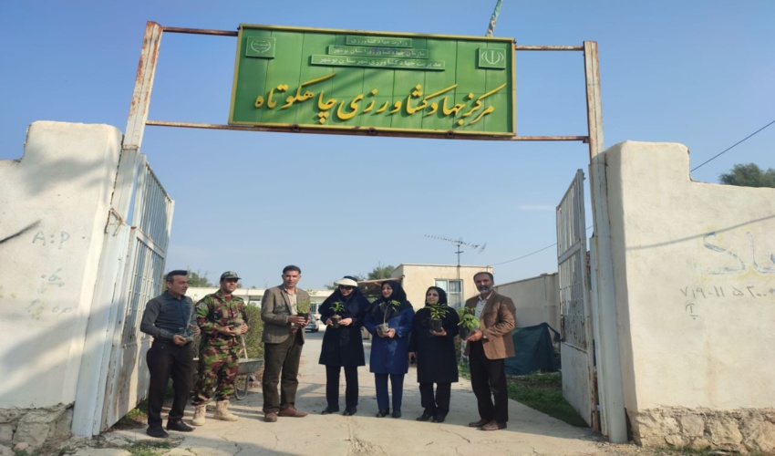   برگزاری پویش نهالکاری همزمان با یادواره شهدای شهرستان بوشهر با مشارکت مدیریت جهاد کشاورزی و اداره منابع طبیعی و آبخیزداری شهرستان بوشهر  