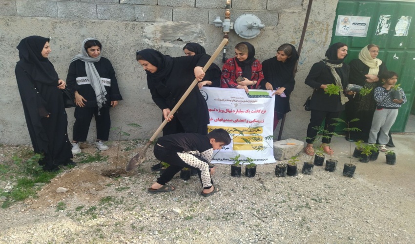 مشارکت تسهیگران زن اعضای صندوق خرد روستایی مل گاودان شهرستان دشتی  در کاشت درخت