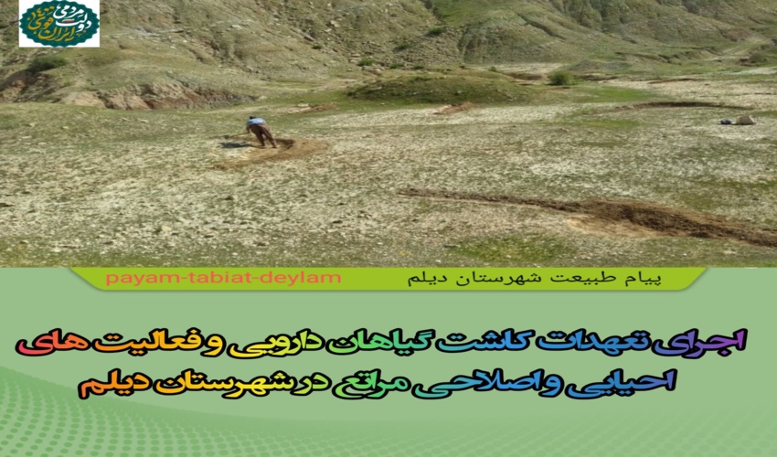  اجرای تعهدات کاشت گیاهان دارویی و فعالیت های احیایی و اصلاحی در مراتع شهرستان دیلم