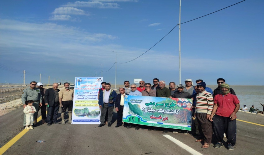 کاشت نهال حرا در ساحل جزیره نگین بوشهر