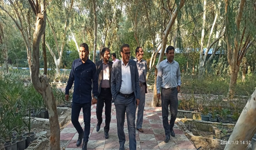 بازدید مدیر کل منابع طبیعی و آبخیزداری استان بوشهر  از نهالستان منطقه ویژه  عسلویه 