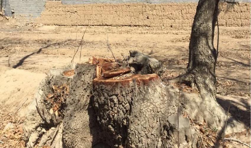 زمینی در بویری دشتستان واگذار نشده است