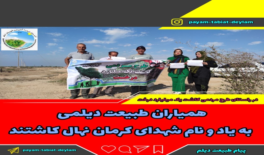 همیاران طبیعت دیلمی به یاد و نام شهدای گرانقدر حادثه کرمان 94نهال کاشتند