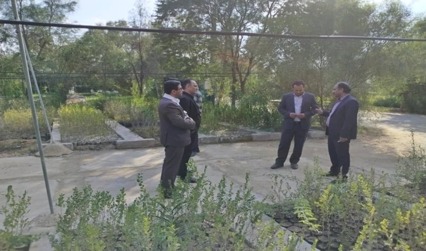 بازدید معاون فنی اداره کل از نهالستان پارک سرکره