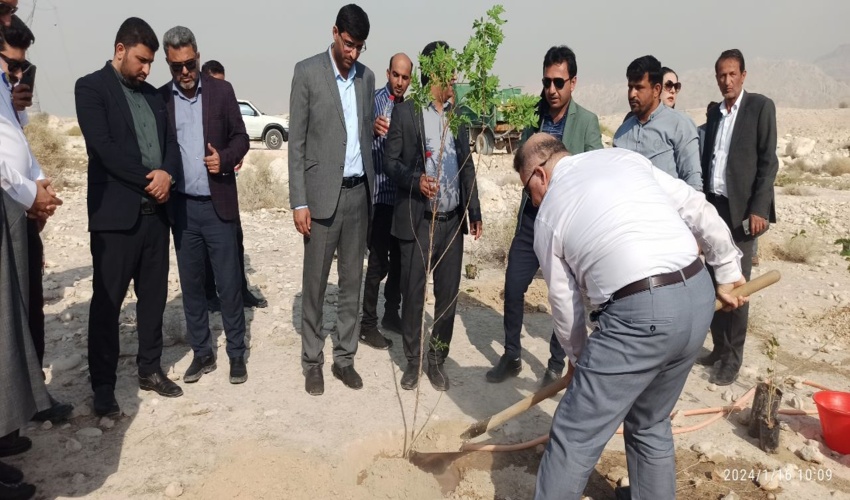 پویش درختکاری در پارک جنگلی چاه مبارک