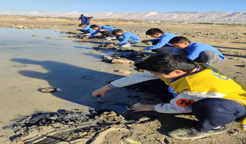 کاشت نهال حرا بالادست پارک مرجان شهرستان کنگان 