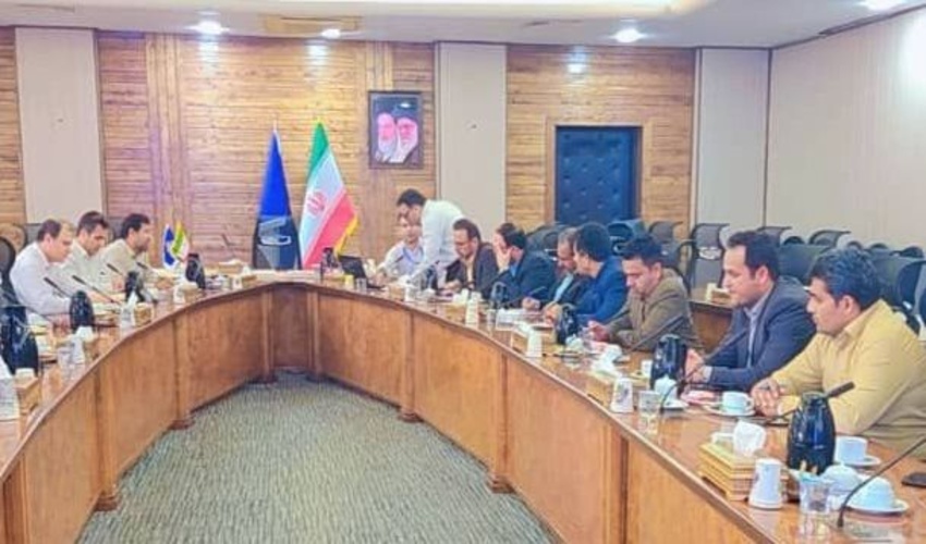 کاشت ۴۰۰هزارنهال حرابوسیله منطقه ویژه پارس جنوبی