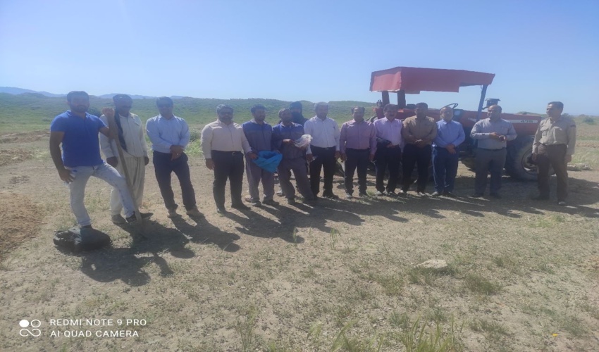 بذر پاشی مراتع بخش شنبه و طسوج شهرستان دشتی  انجام شد.