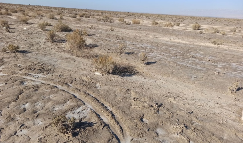 خلع ید و رفع تصرف 345849 متر مربع از اراضی ملی در شهرستان تنگستان