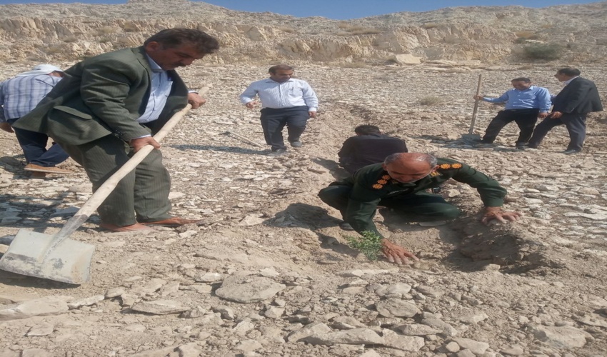  پویش نهال کاری  با عنوان هم عهدی سبز بیاد حاج قاسم سلیمانی در شهرستان دشتی  برگزار شد