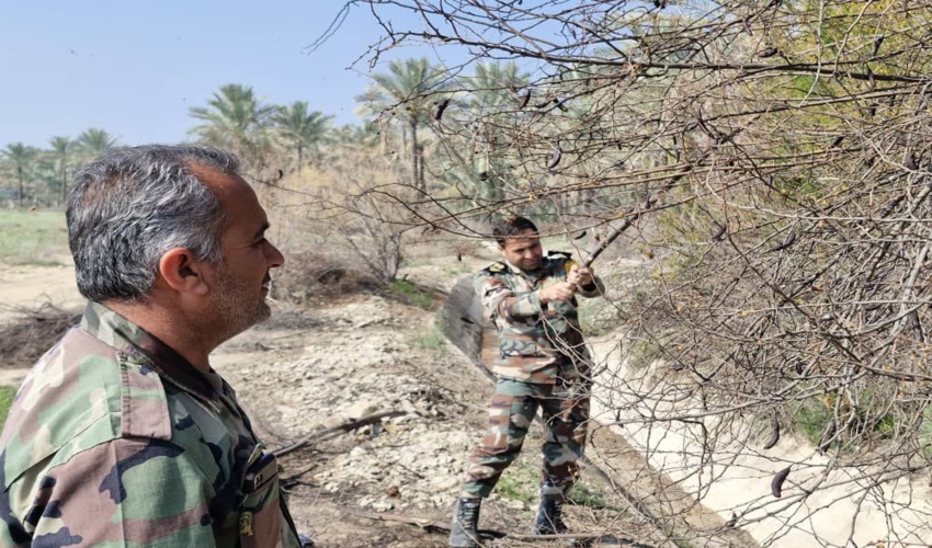 پویش جمع آوری بذر در بخش سعدآباد شهرستان دشتستان برگزار شد 