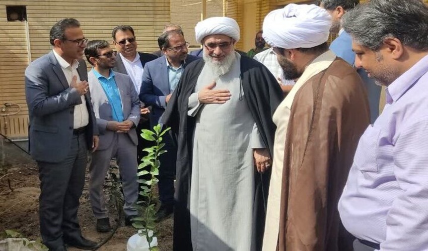 توسعه فضای سبز در استان بوشهر جدی‌تر دنبال شود