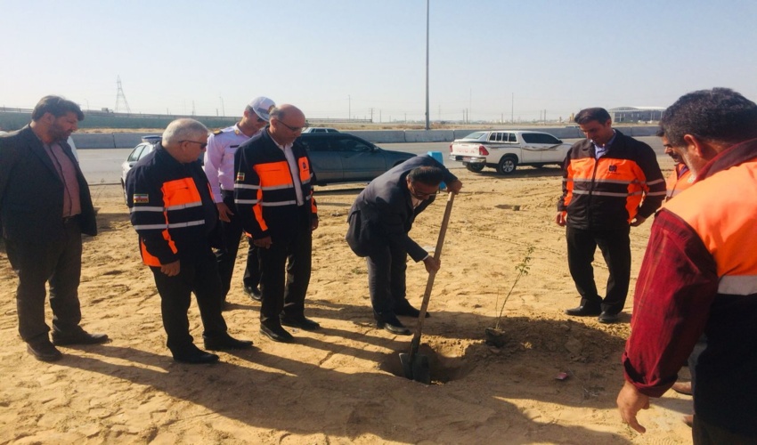 راهداران بوشهر ۳۷ هزار نهال در حاشیه راه‌های بوشهر کاشتند