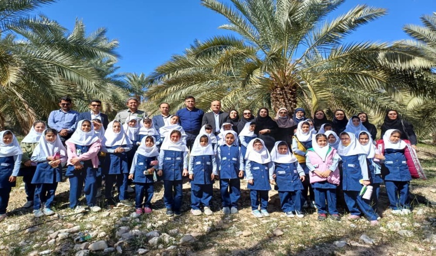 آغاز پویش ۵ میلیون نهال در اردوگاه دانش آموزی روستای بابامبارکی واقع در شهرستان جم
