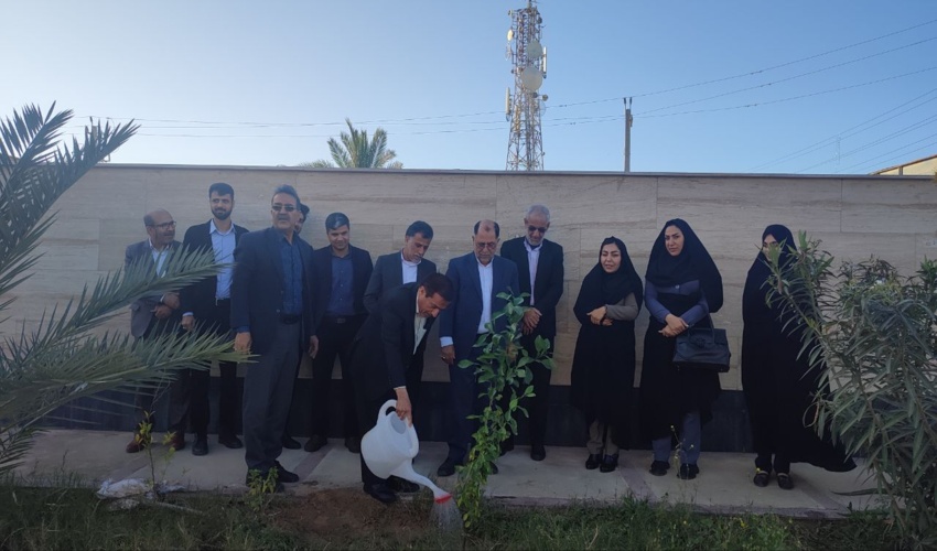 غرس نهال بیاد شهدا  توسط فرماندار   دربنیاد شهید شهرستان گناوه 