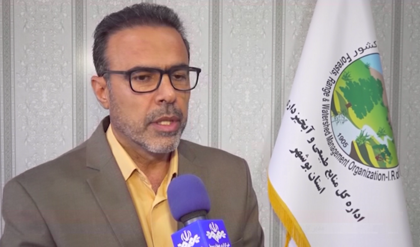 تاکنون ۸۶۸ سازه آبخیزداری در استان بوشهر اجرا شده که میزان حجم آبگیری این سازه‌ها در مجموع بالغ بر ۱۳۴ میلیون مترمکعب است.