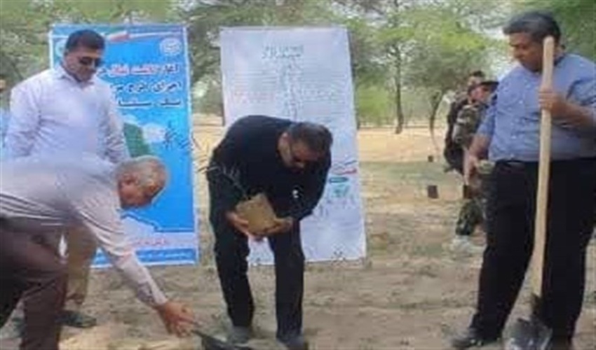 کاشت ۱۷ هزار نهال در استان بوشهر