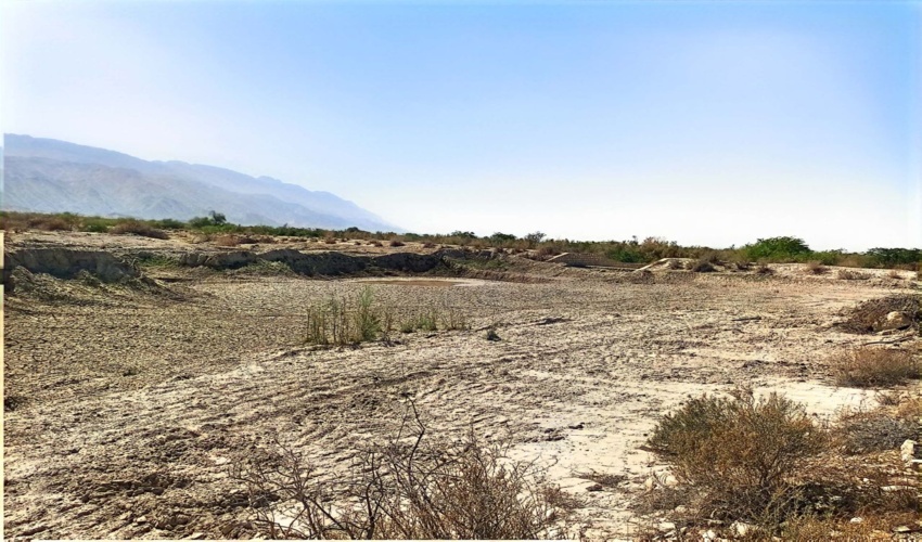 خلع ید و رفع تصرف ۲۳۷ متر مربع از اراضی ملی در شهرستان تنگستان