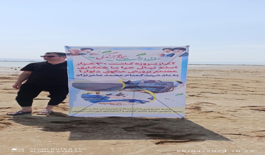 در راستای طرح مردمی کاشت یک میلیارد درخت