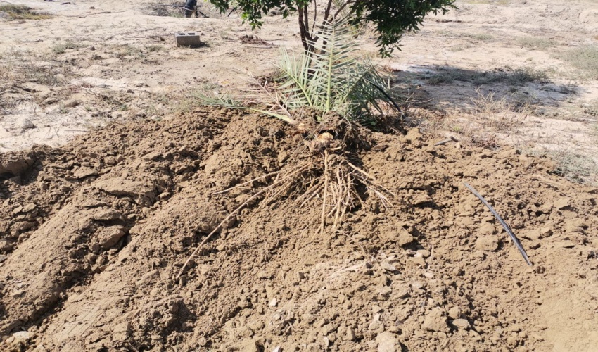 رفع تصرف از اراضی ملی