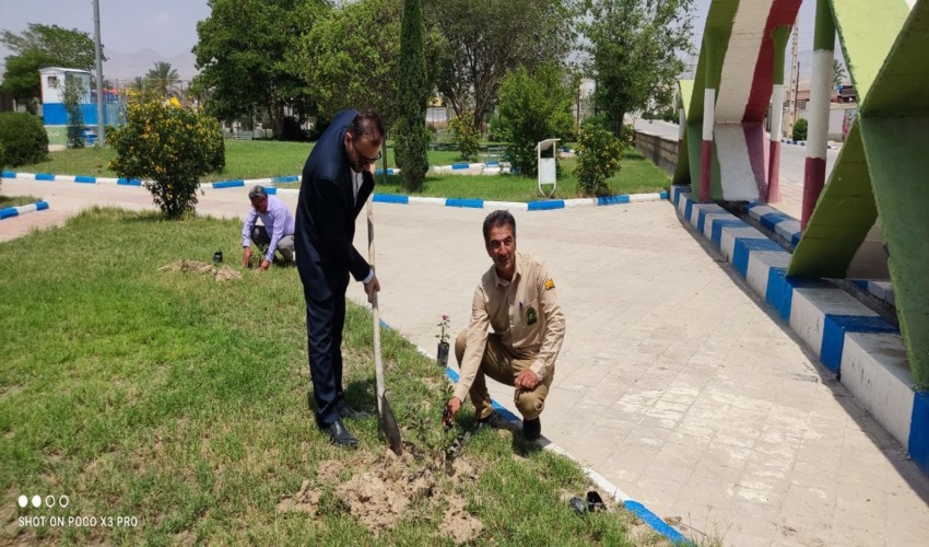 تفاهم نامه نهالکاری مشارکتی در بخش بوشکان شهرستان دشتستان