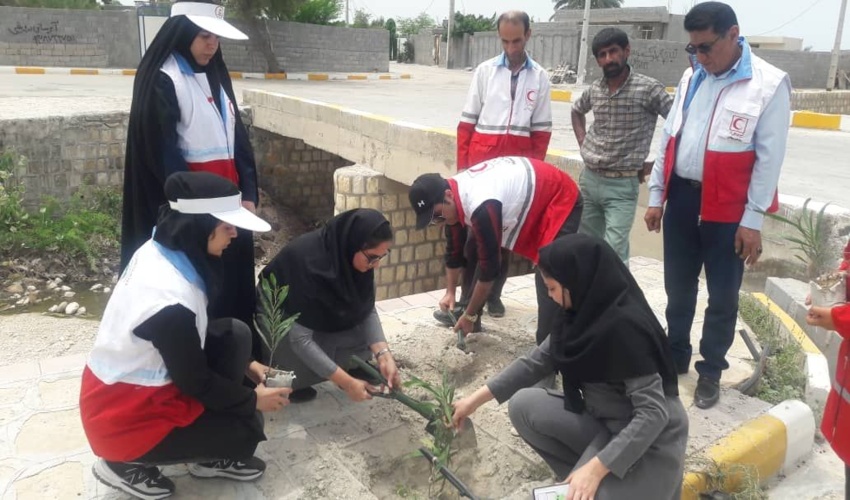 کاشت نهال با همکاری هلال احمردر شهرستان کنگان