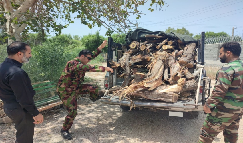  توقیف یک دستگاه خودرو  وانت حامل چوب قاچاق در بوشهر