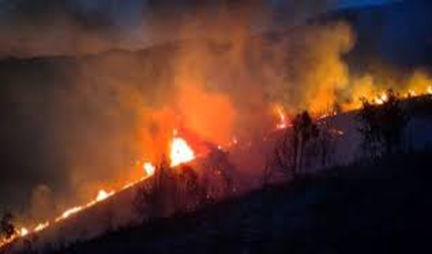 هشدار سازمان منابع طبیعی درباره آتش سوزی مراتع کشور