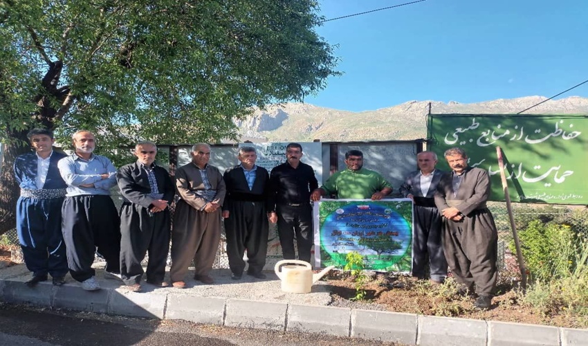 در راستای طرح مردمی کاشت یک میلیارد درخت