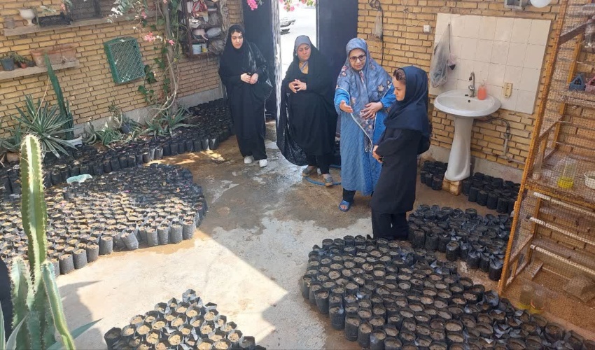 طرح مردمی کاشت یک میلیارد درخت بعنوان باور و فرهنگ مردم استان بوشهر جایگاه خود را تثبیت نموده است