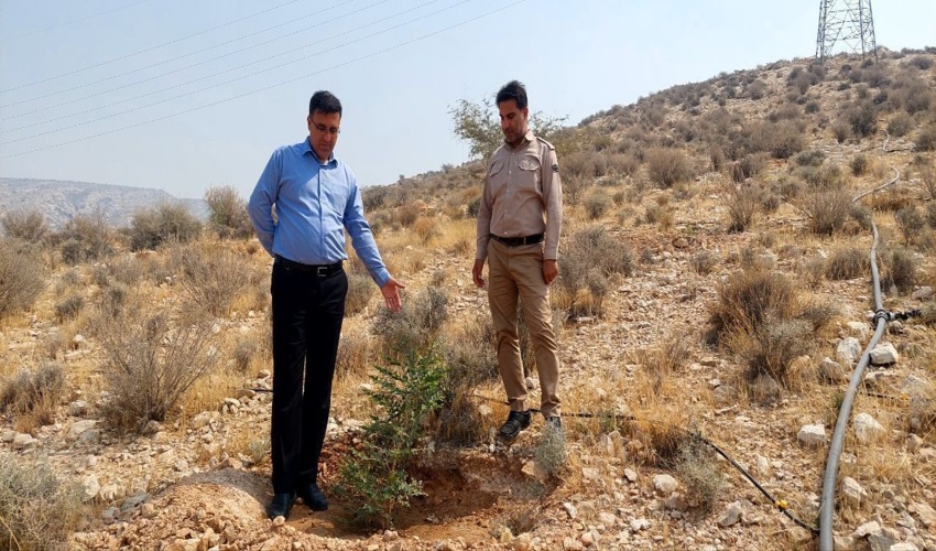 درختکاری مشارکتی ادارات آموزش و پرورش و منابع طبیعی و آبخیزداری برای داشتن جمی زیباتر