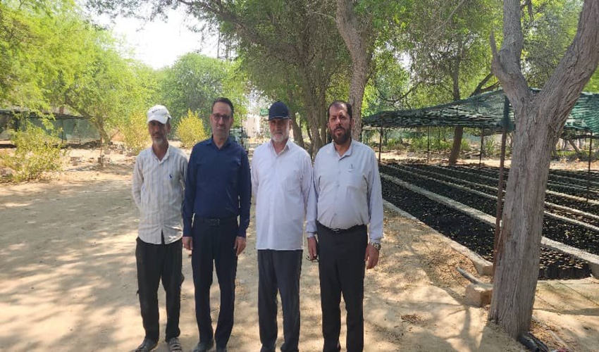 بازدید  استاندار بوشهر از نهالستان  شهر بردخون شهرستان دیر 
