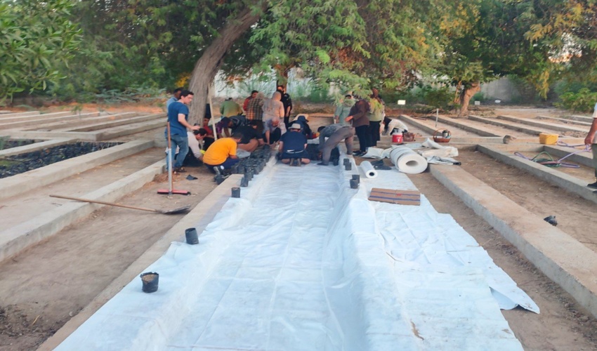 آغاز تولید نهال حرا با مشارکت  انجمن های نهاد مردمی در نهالستان مرکزی منابع طبیعی شهرستان بوشهر