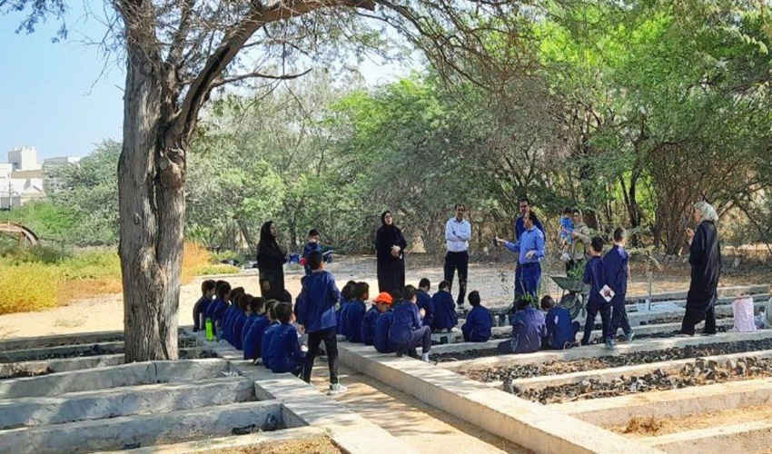 برگزاری  پویش نهال مهر در قالب اجرای طرح شهید عنایت اله مرادی در نهالستان مرکزی  اداره منابع طبیعی و آبخیزداری شهرستان بوشهر